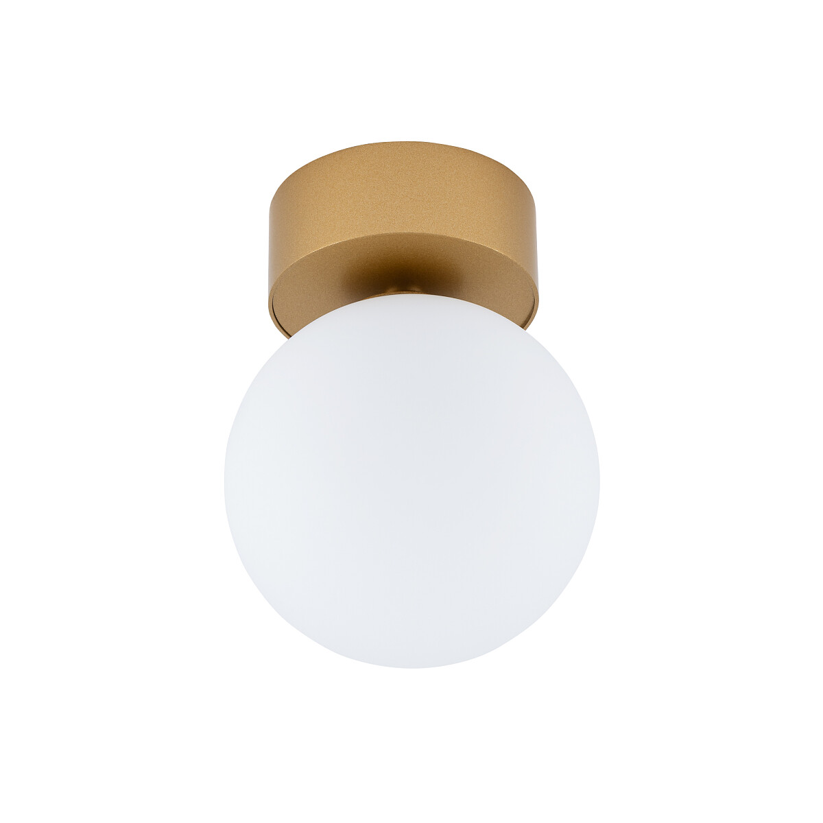 products20230825cbb07c21-e78b-4d44-9aca-46c06c030c0a