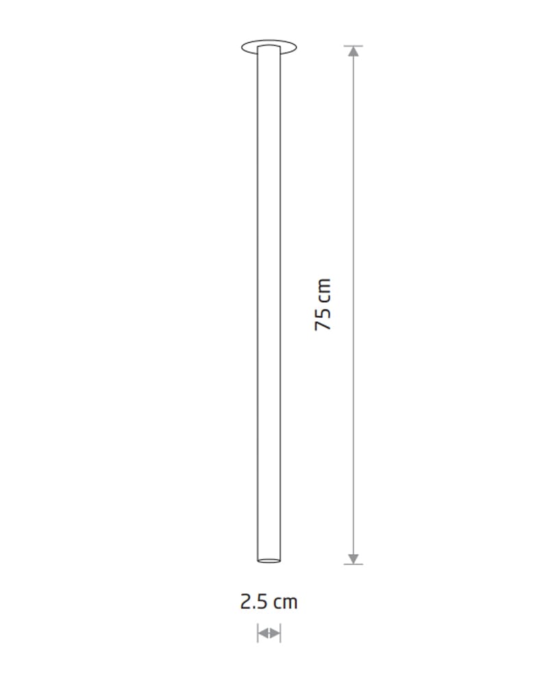 products202310198d5c5a3b-363f-4f23-8019-778735f0e87b