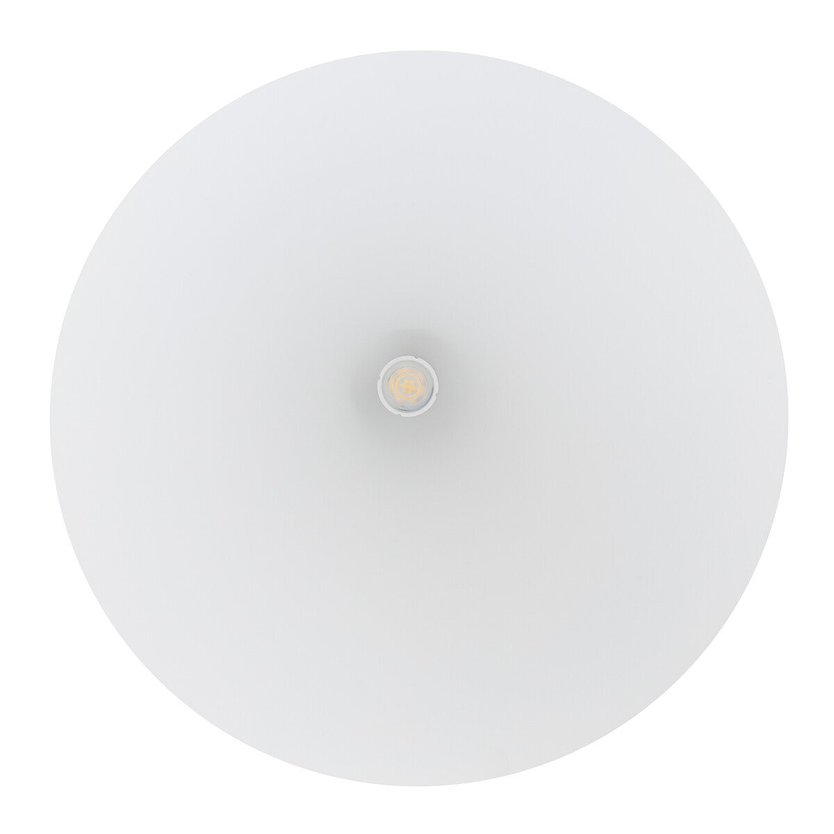 products202311211d225816-09de-4272-ab6a-ecb551c6a561