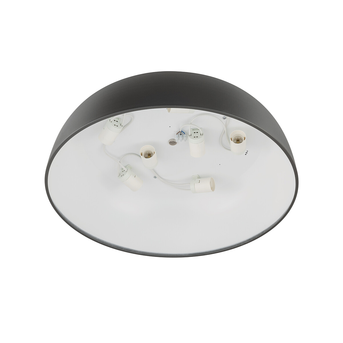 products2024040114c54415-6ecb-40a2-a149-da1a7e84a628