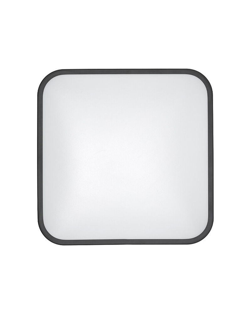 products20240619116aa2ac-a197-4a05-a01c-689b67f2282f