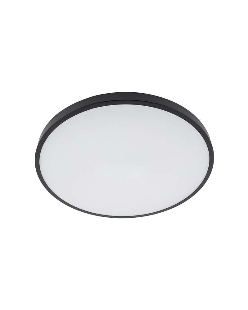 products202406198d2a1a17-4d04-44ab-929e-33f4341f94fa