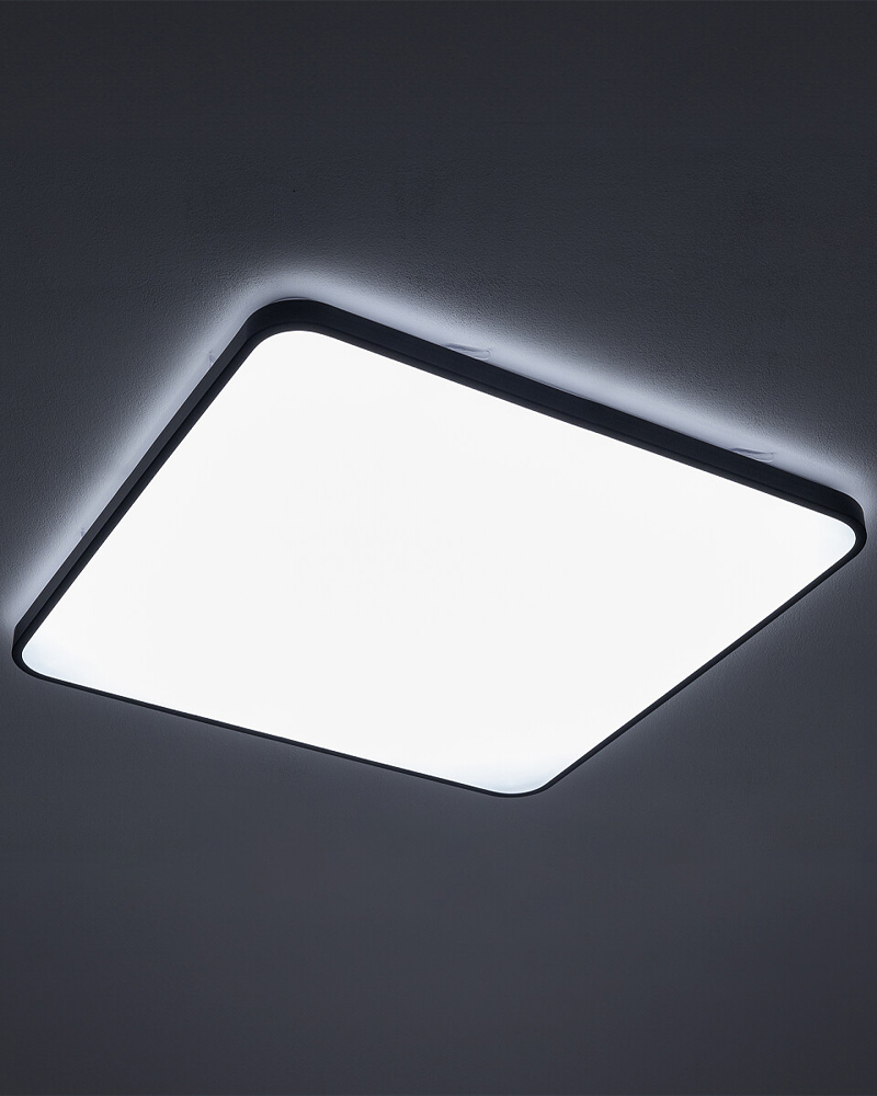 products20240620fe0d684a-c0ef-4f94-915e-b160a4628420